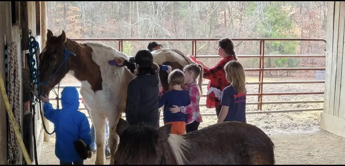 Horse camp