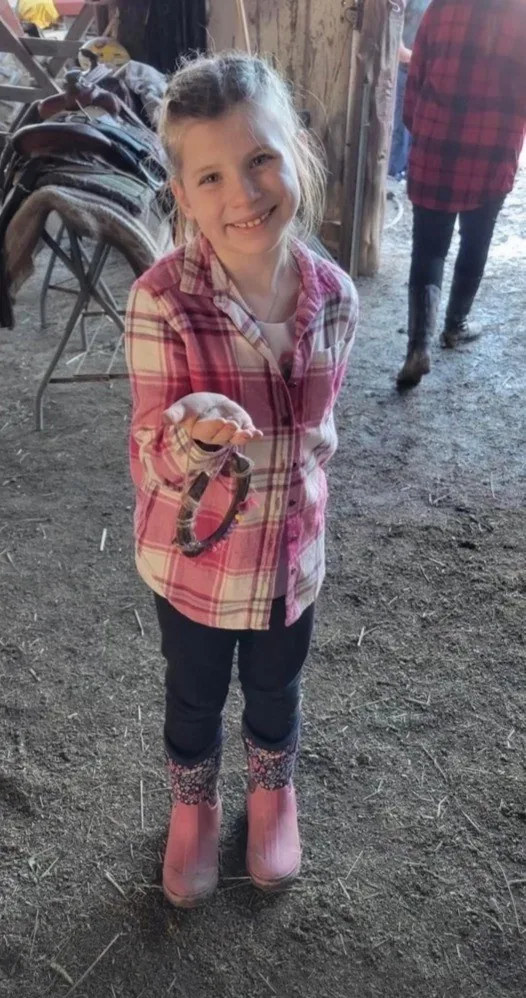Horse camp activity