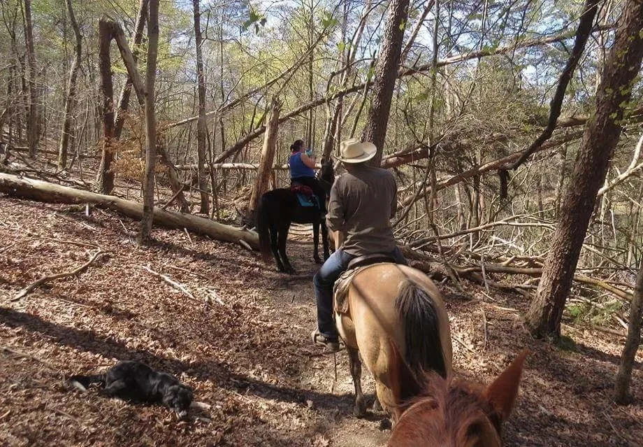 Guided trail ride